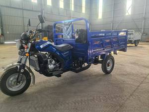 150cc làm mát bằng không khí nhiên liệu động cơ & điện hàng hóa ba bánh 750kg Tải công suất cơ giới xe máy cho sử dụng hàng ngày - Product Image 2