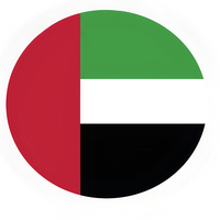 Agent DDP porte-à-porte, transitaire maritime, expédition vers les Émirats arabes unis, Dubaï, expédition depuis la Chine avec des frais de transport réduits, FBA LCL, logistique américaine