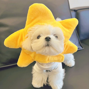 Chapeaux pour animaux de compagnie en peluche chaude, motif ours mignon, couleur unie, toutes saisons, Noël, fabriqués en Chine, par le fabricant 2026 - Product Image 3
