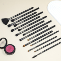 Cosmétiques professionnels 15 pièces nouveau EMF manche en bois noir pinceaux de maquillage pour les yeux Eyeliner pinceaux de fard à paupières avec correcteur en gros