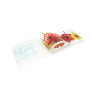 <strong>Indoor</strong> Flower Window Transparent Fruit <strong>Fly</strong> Trap <strong>Catcher</strong> - Product Image 2