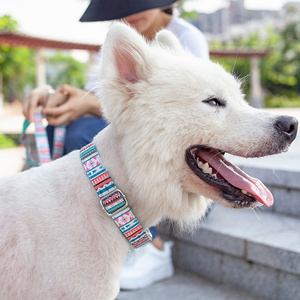 Fabricante Bumopet, <span class=keywords><strong>Collar</strong></span> de perro de nailon duradero con hebilla de Metal, collares de entrenamiento para mascotas con estampado de lujo de estilo bohemio colorido - Product Image 5