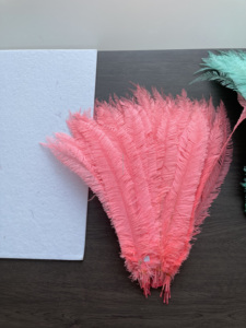Plumas de Avestruz <span class=keywords><strong>Nandu</strong></span> al por Mayor, Plumas de Avestruz Moradas, Rosas, Blancas, Amarillas y Negras, Plumas de Avestruz Grandes para Vestidos al por Mayor - Product Image 3