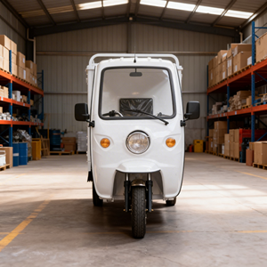 <span class=keywords><strong>Tricycle</strong></span> électrique fermé de haute qualité 1000W, moto à trois roues avec capacité de charge de 200-300 kg pour le transport de marchandises - Product Image 5