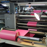 Rouleaux de Vinyle HTV Flex de Haute Qualité, Papier Vinyle Élastique Personnalisé pour Transfert Thermique sur T-Shirt, pour Impression Vinyle par Transfert à Chaud