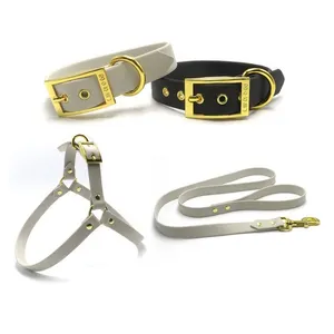 Set tali leher anjing karet TPU, perlengkapan Jalan hewan peliharaan tali dada tali anjing kucing