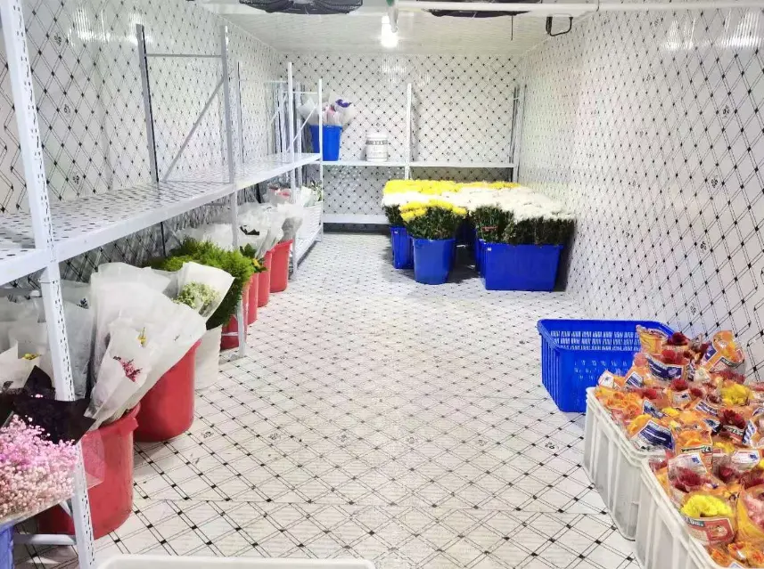 China custom cold storage store walk in cold room price chiller fresh fruits and vegetables