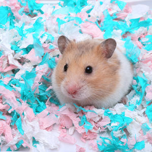 ที่นอนสัตว์เลี้ยงขนาดเล็กที่นุ่มสบาย ซึมซับน้ำได้ดีเยี่ยม ทำจากกระดาษฝ้ายสีรุ้ง สำหรับหนูแฮมสเตอร์ กระต่าย และหนูตะเภา - Product Image 3