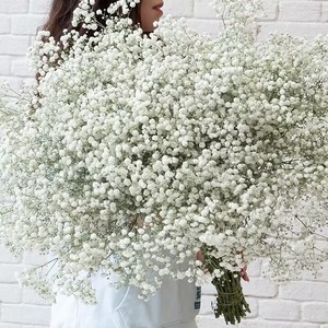 <span class=keywords><strong>Fleur</strong></span> artificielle en latex blanc de haute qualité, effet toucher réel, pour la décoration de la maison <span class=keywords><strong>et</strong></span> les mariages, Dalian Chermy - Product Image 1