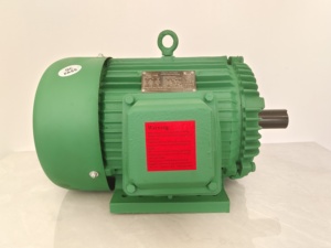 มอเตอร์เหนี่ยวนำ 3 เฟส ประสิทธิภาพสูง 1725 รอบต่อนาที 230/460 โวลต์ 405T 100 แรงม้า - Product Image 2