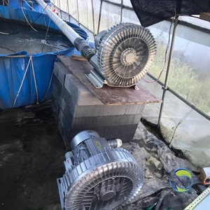 Bomba de soplador de aire Vortex, ventilador de oxígeno, máquina aireadora, sistema de aireación para acuicultura, Tilapia, peces, camarones, estanque de cultivo - Product Image 2