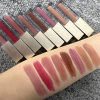 Rouge à lèvres mat Brillant à lèvres Marque privée Vente en gros Logo personnalisé Longue durée Étanche Nude Liquide Rouge à lèvres Herbal Mineral