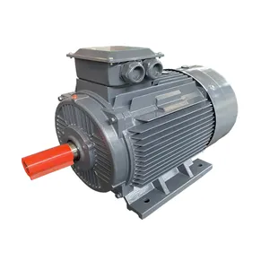 Motor Listrik AC Tiga Fase 15KW 22KW 30KW 37KW 45KW 55KW 75KW