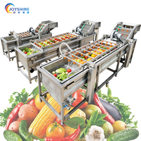 Industriële reinigingsmachine voor de verwerking van fruit en groenten, capaciteit 100-1000 kg voor groente- en fruitkiemen