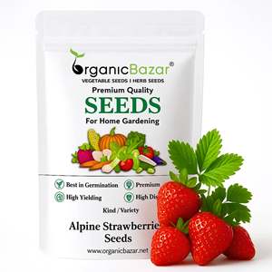 Sachets de graines de fraises alpines personnalisés avec logo pour centre de jardinage et e-commerce – Fourniture de graines de fraises alpines - Product Image 1