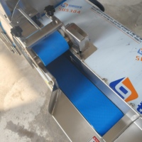 Fruit- en groentesnijmachine, multifunctioneel voor appels, plantains, cassave, aardappelchips, snijden, snijden in blokjes, raspen en versnipperen.