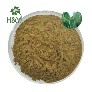 Concurrerende Prijs Cactus Plant Nopal Cactus Extract Cactus Extract Poeder