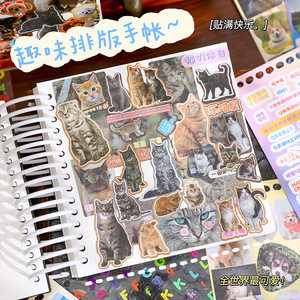 30 adesivi per confezione Collezione di adorabili adesivi per animali domestici Amici Pelosi Adesivi fai da te di simpatici animali - Product Image 4