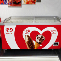 Congélateur commercial à température unique de 661 L avec porte vitrée incurvée et éclairage LED pour la réfrigération des glaces en supermarché