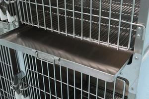 Hayvan kliniğinde hasta kullanımı için katı desenli paslanmaz çelik köpek veteriner kafes sandığı-dayanıklı ve güvenli - Product Image 6