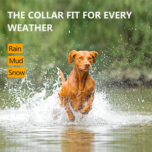 कुत्ते कॉलर 2023 Dropshipping IPX7 निविड़ अंधकार कोई सदमे विरोधी छाल पालतू पशु कुत्ता प्रशिक्षण कॉलर - Product Image 6