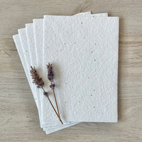 Etiquetas de papel de semillas de lujo personalizadas, etiquetas colgantes, ropa de cuerda creativa y etiquetas para zapatos, diseño ecológico