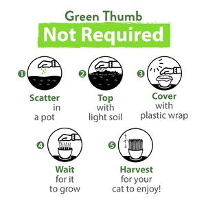 Haute qualité 4oz chat herbe maison cultivé Kit Style europé<span class=keywords><strong>en</strong></span> extérieur bureau sol planteur <span class=keywords><strong>en</strong></span> vrac jardin <span class=keywords><strong>plante</strong></span> pour chats Animal Design - Product Image 4