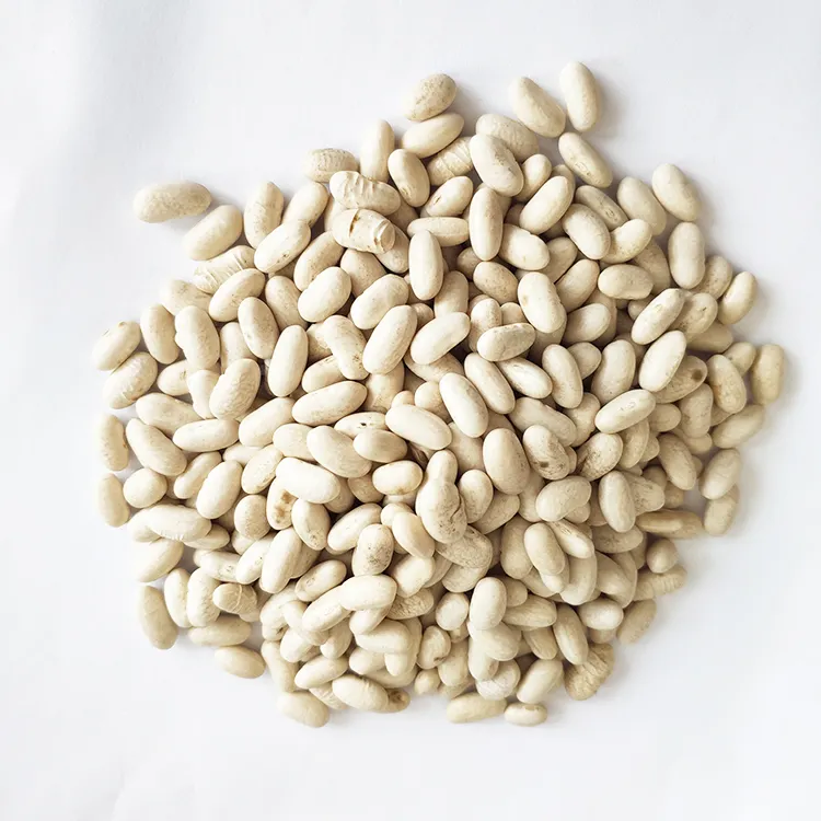 판매 고품질 동북 Baishake 백색 신장 콩