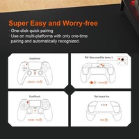 Adaptateur sans fil USB R100 PRO, convertisseur de manette de jeu, compatible avec PS4/PS5, XBOX Series, adaptateur Bluetooth Switch