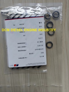 Pièces de rechange d'origine pour moteur MTU 2000 Joint de chemise de cylindre Mtu 2000 Joint torique 5419970645 - Product Image 6