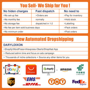 Agent Shopify Professionnel Offrant Livraison Express Aérienne Rapide et Gratuite et Services d'Entreposage Agent de Dropshipping en Transit pour l'Afrique du Sud - Product Image 3