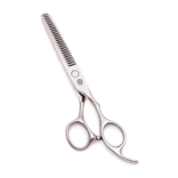 Ciseaux de coiffure AQIABI en acier inoxydable professionnels 5,5'' 6'' pour effilage, kit de coupe de cheveux pour salon de coiffure, taux d'effilage 20-30%