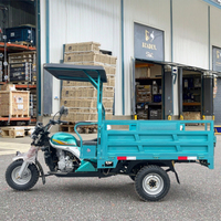 Tricycle Moto Royal Personnalisable ODM/OEM Moteur Trois Roues Cargo Abri Simple Ouvert Corps Commercial Adulte
