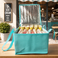 Sac isotherme classique en bâche imperméable avec logo personnalisé pour fruits de mer, viande, aliments réfrigérés, activités extérieures