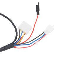 Customized Motorcycle Motorbike Harness Wire/Main Wire for BAJAJ BM-150 Factory Direct Supply for Electrical Systems