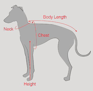 Qiqu suministros para mascotas personalizados nuevos diseñadores polar perro Onesies cuello alto cálido <span class=keywords><strong>galgo</strong></span> <span class=keywords><strong>italiano</strong></span> Whippet <span class=keywords><strong>ropa</strong></span> - Product Image 3