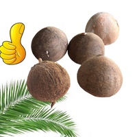 Éplucheur industriel de peau de noix de coco, machine à éplucher semi-automatique