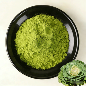 High Quality Superfood Dietary <strong>Supplement</strong> Kale Powder 1000 Mesh Food Grade Wall-Broken Powder Kale Powder for <strong>Weight</strong> <strong>Loss</strong> Drinks - Product Image 1
