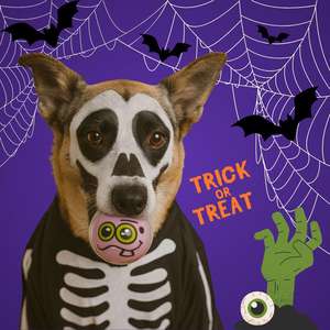 Giocattolo per Animali Domestici in Gomma con Design di Halloween, 7cm, Resistente ai Morsi, Colori Vivaci - Product Image 5