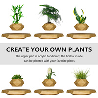 Bonsaï en Lévitation Magnétique ABS, Pots à Plantes Flottants Écologiques pour la Décoration Intérieure
