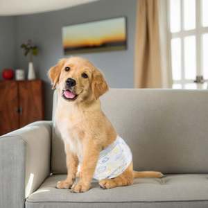 China <b>Pet</b> Factory Dog Wholesale <b>Diapers</b> Absorbent Soft Female Male Dog <b>Diapers</b> for Sale - Product Image 1