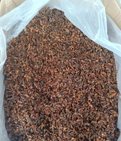 Haute Qualité Gousses Séchées Entières Herbe Épice Chaude Exportation Granule Poudre Comprend Tige-Pièce Brute Motif AD Prix de Gros