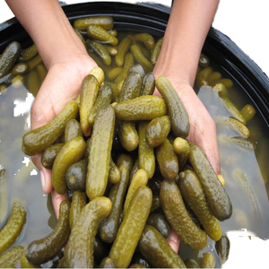 Concombres fraîchement marinés dans des seaux de légumes conservés - Product Image 1