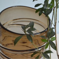 Centre de table de mariage Vases à fleurs en verre de Murano Amber Colored Art Desk Craft