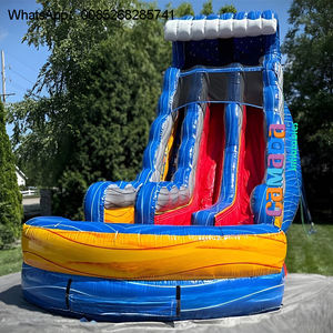 Glissière d'eau tropicale de videur sautant de palmier d'arrière-cour commerciale - Product Image 1