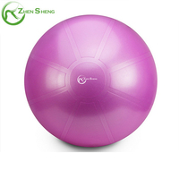 Chaise de bal d'accouchement d'exercice de yoga de grossesse anti-éclatement de logo personnalisé de Zhensheng