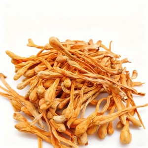 Prezzo all'ingrosso appena raccolto <span class=keywords><strong>Cordyceps</strong></span> puro naturale Yunnan <span class=keywords><strong>Cordyceps</strong></span> fiore - Product Image 6