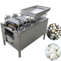 Équipement de cuisine commerciale de haute qualité, éplucheur d'œufs de caille automatique intelligent, moteur en acier 304, capacité de 300 kg/h, machine à éplucher les œufs