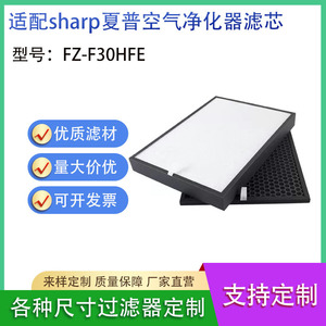 Mejor Filtro Purificador de Aire FZ-F30HFE, Elemento Filtrante de Carbón Activado Plegado para una Filtración de Aire Precisa - Product Image 5