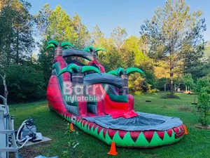 Aquatic Park Fun Commercial PVC Inflatable Bounce House Dry And Water Slide Price Slides Inflatable For Party Rentals